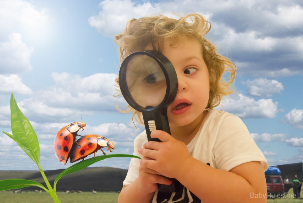 Kid is looking at bugs making love